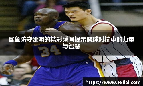 鲨鱼防守姚明的精彩瞬间揭示篮球对抗中的力量与智慧